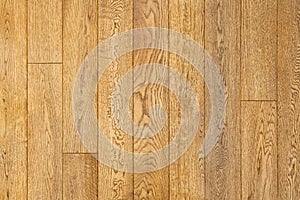 Close-up of engineered oak floorboards. photo