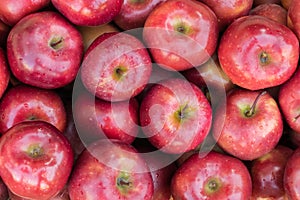 Close up of a Gala red apples