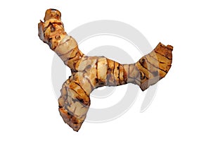 Close up of galangal root
