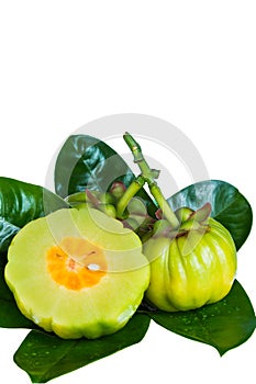 Close up garcinia cambogia on leaves. Isolated on white. photo