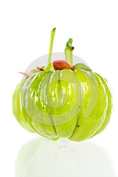 Close up garcinia cambogia with reflection on white background.