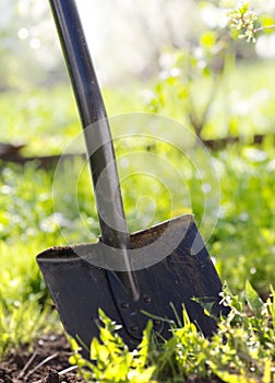 Close up of garden shovel photo