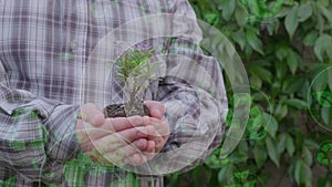 Close-up of a gardener hands holding a small plant with soil