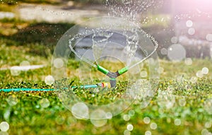 Close-up of a gardening sprinkle irrigate garden lawn