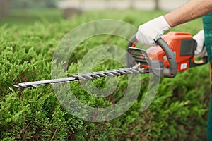 Close up of gargener trimming bushes.