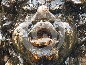 Close up Gargoyle Water Fountain
