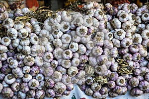 Close up of garlics at a market