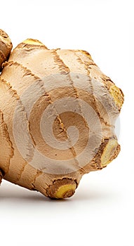 Close-up of a ginger root (Zingiber officinale) against a white background. The surface