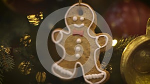 Close up of gingerbread cookies. Christmas tree at New Year Eve. Soft focus