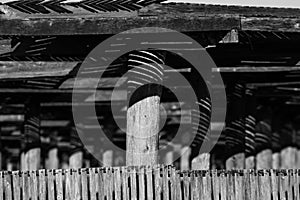 Close-up of ginseng shade made from old wooden lathes and posts in black and white