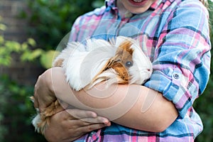 Close Up Of Girl Holding Pet Guinea Pig Outdoors In Garden