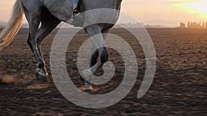 Close-up of girl legs riding on a horse on the field during sunset, slow motion