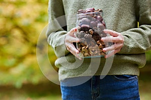 Close Up Of Girl Outdoors Holding Jar Of Autumn Pine Cones With Conkers Acorns And Beech Nut Cases