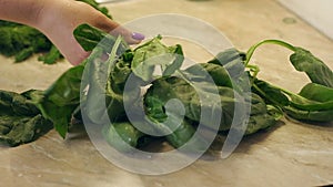 Close-up of the girl puts a beautiful wet spinach on the table at home, slow mo.