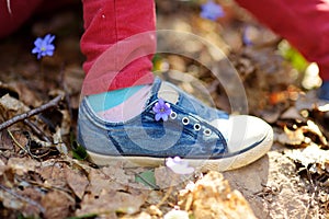 Close-up of girls shoes in the woods on beautiful sunny spring day. Child picking the first flowers of spring outdoors