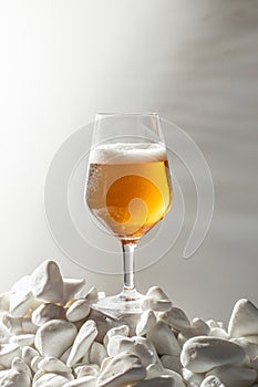 Close-up glass cold beer with foam and water drops with natural palm shadows