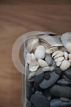 Close up of a glass container with shell