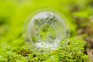 Close up of glass globe in the forest