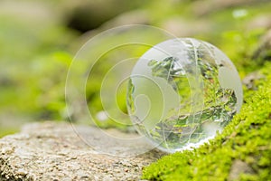 Close up of glass globe in the forest