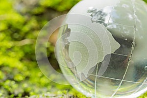 Close up of glass globe in the forest