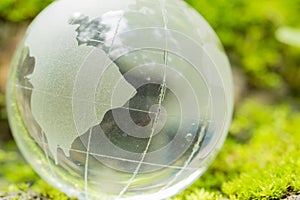 Close up of glass globe in the forest