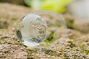 Close up of glass globe in the forest