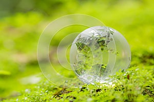 Close up of glass globe in the forest