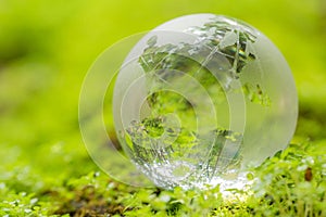 Close up of glass globe in the forest