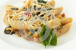 Close Up Gluten Free Pasta On White Plate