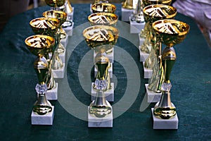 Close-up of a gold cup trophy races