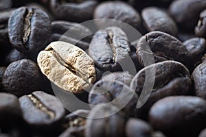 Close-up of the golden bean on roasted coffee background