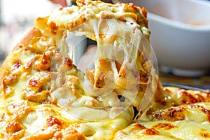 A close-up of a golden cheese brushed chicken pizza