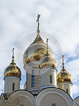 Close-up of the golden domes of the church. Vertical photo. Religion, Christianity