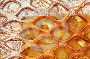 Close-up of golden lattice apple pie with custard and powdered sugar