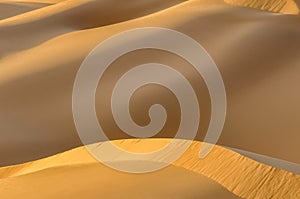 Close up golden sand dunes