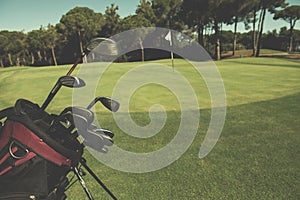 Close up golf bag on course