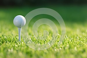 Close up golf ball blurred green grass hobby lawn leisure nature play recreation tee sport white field activity club