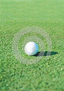 Close-up of golf ball on green course