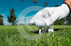 Close up golf ball on green grass field. Golf club.