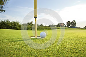 Close up of golf ball on the green near the hole on a sunny afternoon