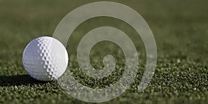 Close-up of a golf ball lying on the grass