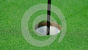 A close-up of a golf ball rolling straight into the hole on the golf course.