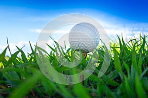 Close up the golf ball on tee pegs ready to play with sky background