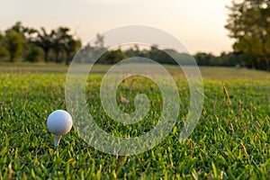 Close up golf ball woman putting golf ball in hole tee with club in golf course on evening on time for healthy sport.