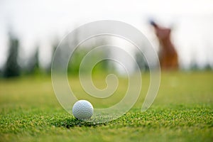 Close up Golf club hitting golf ball along with tee on green tee