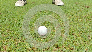 Close up golf club hitting golf ball video footage