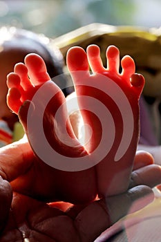 Newborn baby legs close up