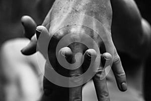 Close-up graceful pose of a beautiful woman`s hands white photo