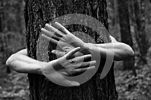 Close-up graceful pose of a beautiful woman`s hands white photo