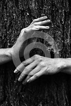 Close-up graceful pose of a beautiful woman`s hands white photo